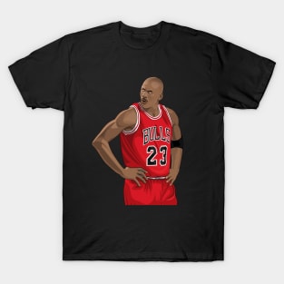 Air Jordan T-Shirt